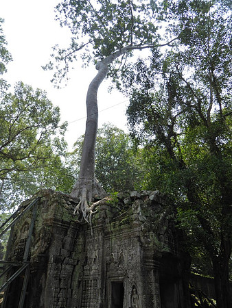 Angkor Thom, Cambodia